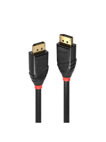 Lindy 38464 DisplayPort cable 40 m Black