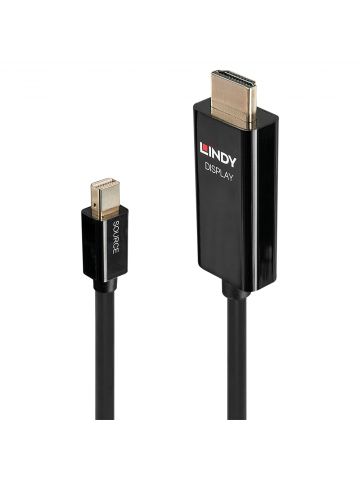 Lindy 0.5m Mini DP to HDMI Adapter Cable