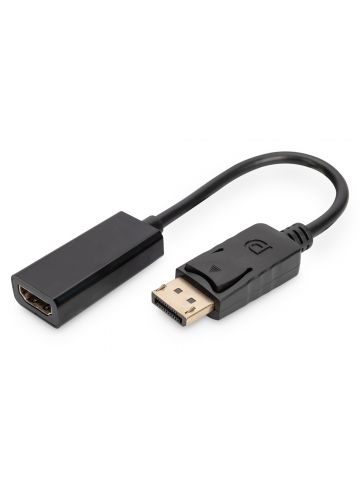 Digitus DisplayPort Adapter / Converter