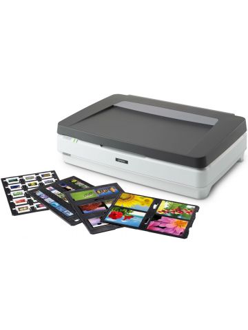 Epson Expression 13000XL Pro Business card scanner 2400 x 4800 DPI A3 Grey, White