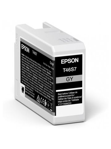 Epson C13T46S700/T46S7 Ink cartridge gray 25ml for Epson SC-P 700