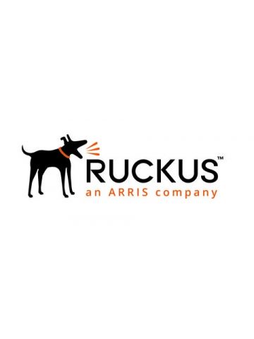 RUCKUS Networks Analytics 1 license(s) Subscription 1 year(s) 12 month(s)