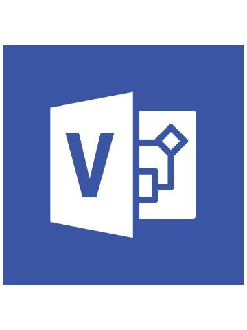 Microsoft Visio Professional 2019 1 license(s) Multilingual