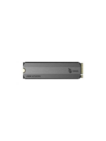 Hikvision Digital Technology 311501037 256GB PCIe Gen 3x4 NVMe SSD