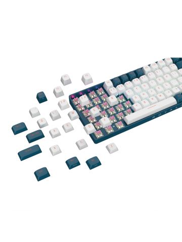 ROYALAXE R108 Hot Swappable Mechanical Keyboard, Full Size, 110 Keys, 2.4GHz, Bluetooth 5.0 or Wired Connection, TTC Golden-Pink Switches, RGB, Windows and Mac Compatible, UK Layout