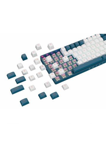 ROYALAXE R87 Hot Swappable Mechanical Keyboard, 80% TKL Design, 89 Keys, 2.4GHz, Bluetooth 5.0 or Wired Connection, TTC Golden-Pink Switches, RGB, Windows and Mac Compatible, UK Layout