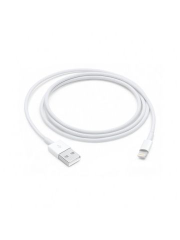 Lightning to USB Cable (1 m)