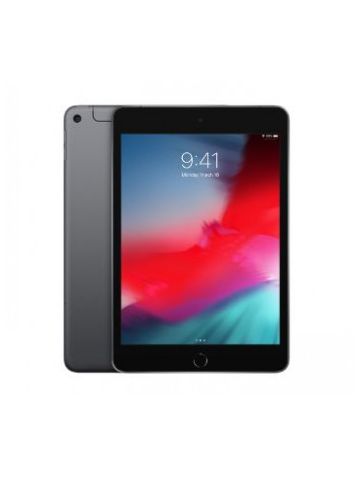 iPad mini Wi-Fi + Cellular 256GB - Space Grey