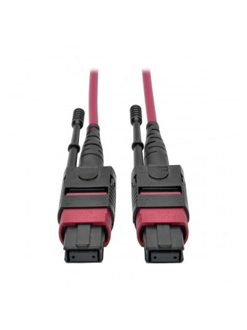 Tripp Lite MTP/MPO Multimode Patch Cable, 12 Fiber, 40/100 GbE, 40/100GBASE-SR4, OM4 Plenum-Rated (F/F), Push/Pull Tab, Magenta, 1 m