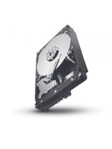 Seagate Constellation ES 1TB 3.5" 1000 GB SAS