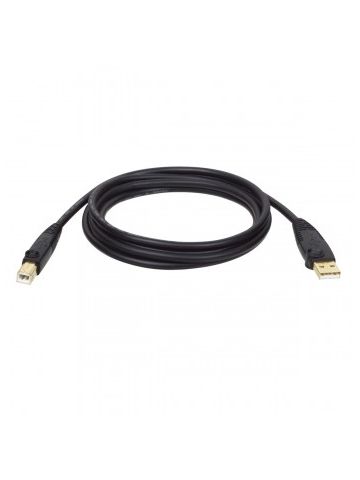 Tripp Lite USB 2.0 Hi-Speed A/B Cable (M/M), 1.83 m (6-ft.)