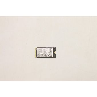 Lenovo 5SS0W79505 internal solid state drive 256 GB M.2 PCI Express 4.0