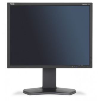 NEC MultiSync P212 54.1 cm (21.3