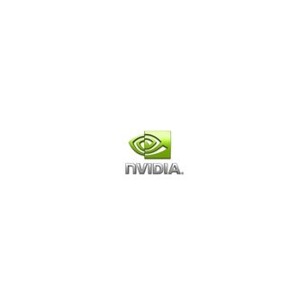 Nvidia Tesla P100, 16GB CoWoS HBM2, PCIe 3.0 x16, passive cooling -