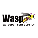 Wasp